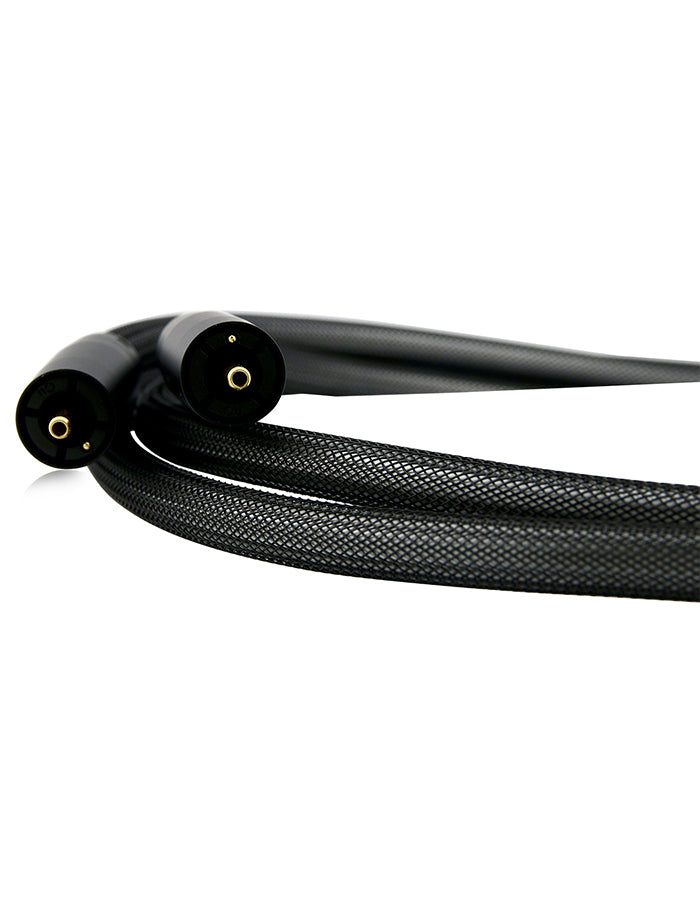 AAC IC-3 SE2 Interconnect Cable Pair Gold RCA