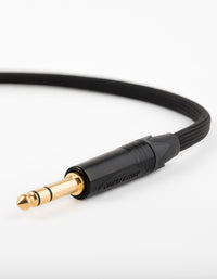 AAC HPX-1 Classic with e-Valuecon to 1/4"  TRS Cable