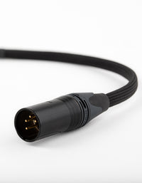 AAC HPX-1 Classic with e-Valuecon to 4-Pin XLR Cable