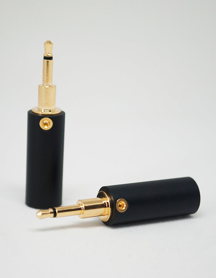 AAC HPX-1SE with 2.5mm TS to 1/4" TRS Cable