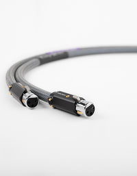 AAC Statement e IC Cryo Interconnect Cable Pair Rhodium XLR