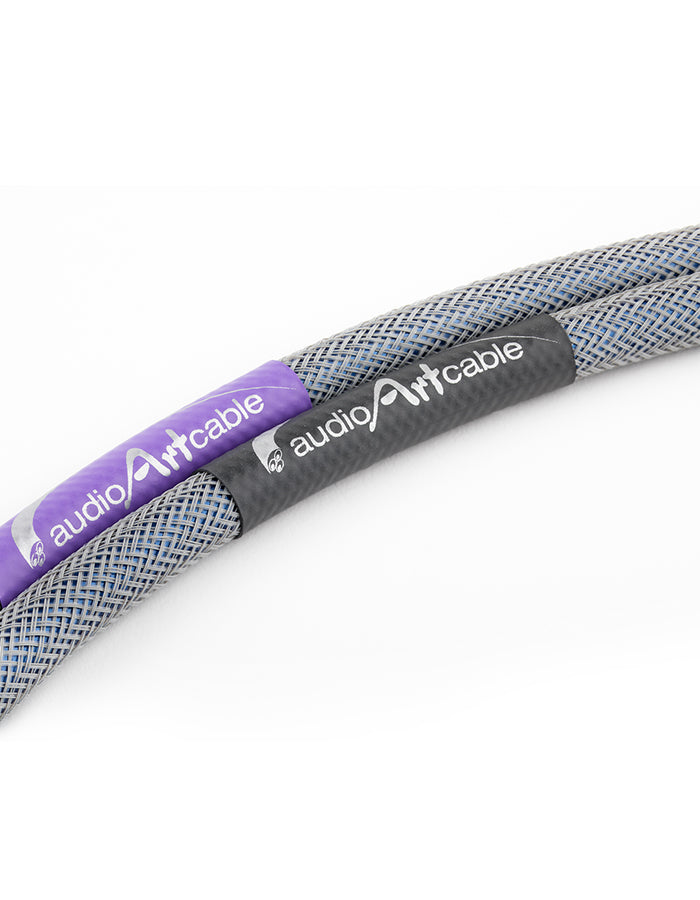 AAC Statement e IC Cryo Interconnect Cable Pair Silver RCA