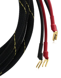 AAC e2.2 Cryo Speaker Cable Pair Gold Spade
