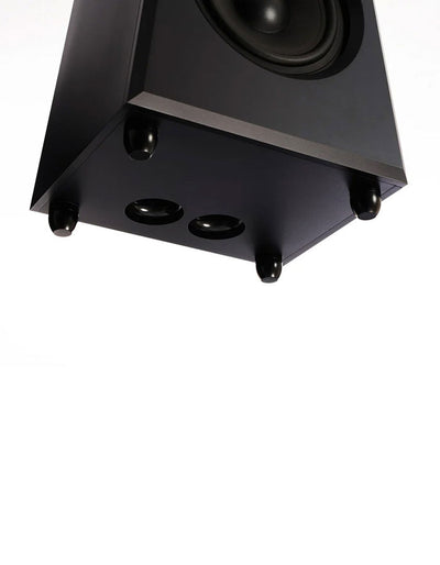Mon Acoustic Platimon Virtual Coaxial TWO