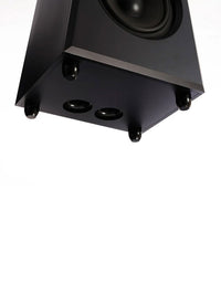 Mon Acoustic Platimon Virtual Coaxial TWO
