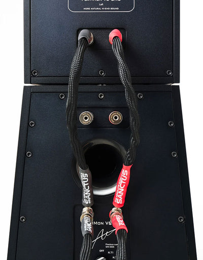 Mon Acoustic PlatiMon VC 1 + VC 2 MK2 Speaker System