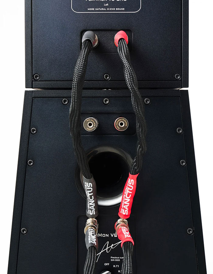 Mon Acoustic PlatiMon VC 1 + VC 2 MK2 Speaker System