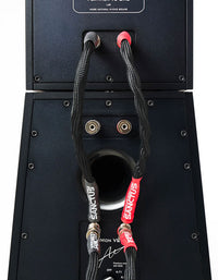 Mon Acoustic PlatiMon VC 1 + VC 2 MK2 Speaker System