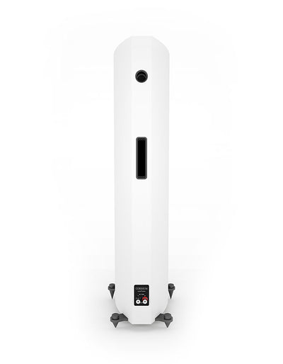 Acoustic Energy Corinium Floorstanding Speaker Pair - rear