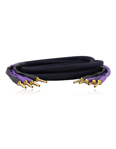 AAC Copper Cryo Speaker Cable Pair Gold Banana