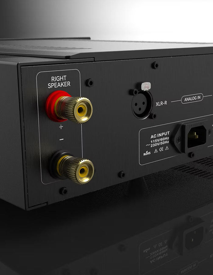 Garlubidor Oceanus Power Amplifier