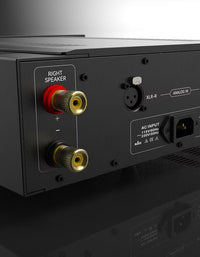 Garlubidor Oceanus Power Amplifier