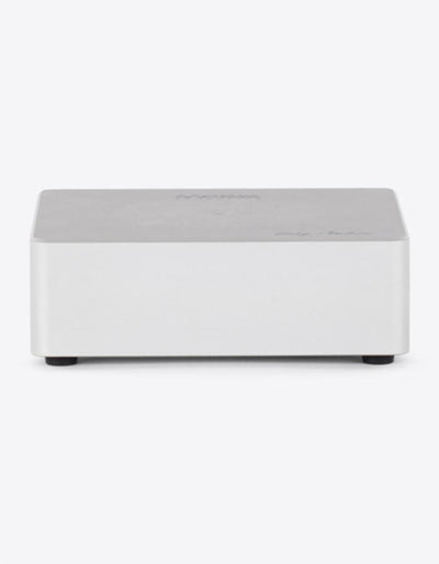 Metrum Acoustics Baby Ambre