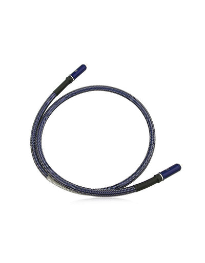 AAC Statement Digital Cable with RCA to RCA