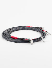 AAC SC-5 ePlus Cryo Double Bi-wire Speaker Cable Pair Rhodium Banana