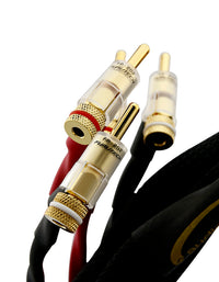 AAC SC-5 ePlus Cryo Speaker Cable Pair Gold Banana