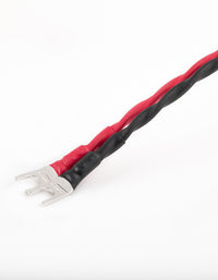 AAC SC-5 ePlus Cryo Speaker Cable Pair Rhodium Spade