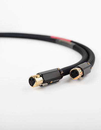 AAC Statement e IC Cryo Interconnect Cable Pair Gold XLR