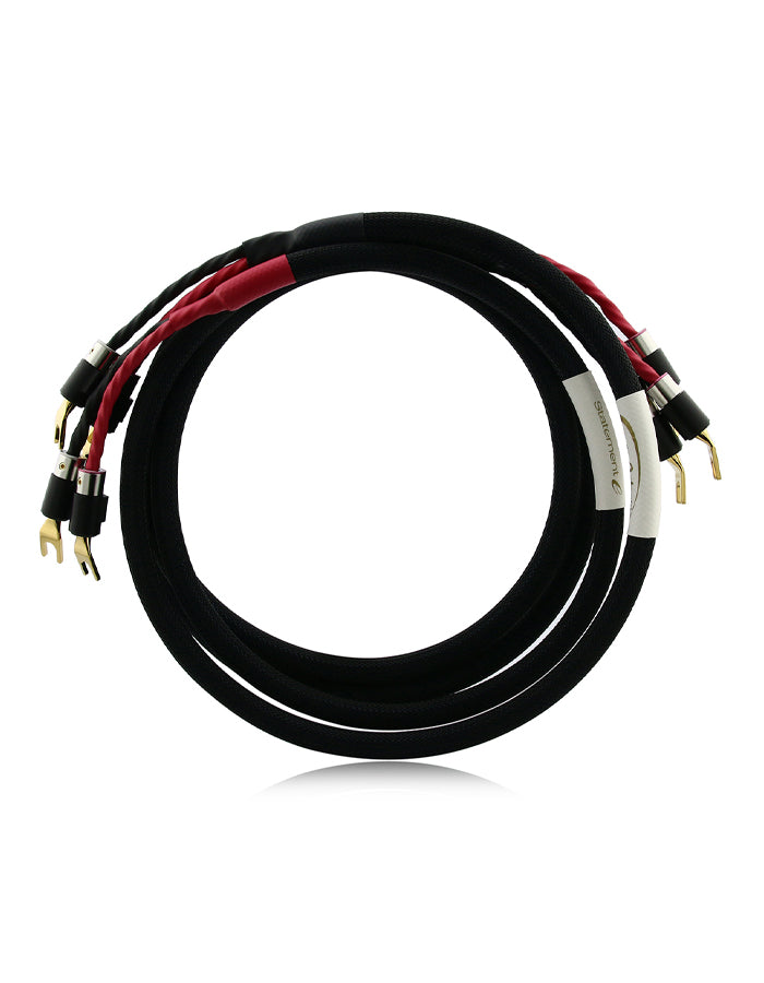 AAC Statement e SC Cryo Bi-wire Speaker Cable Pair Gold Spade