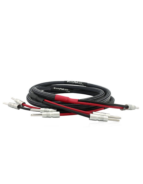 AAC e2.2 Cryo Speaker Cable Pair Rhodium Banana – Audio Art Cable