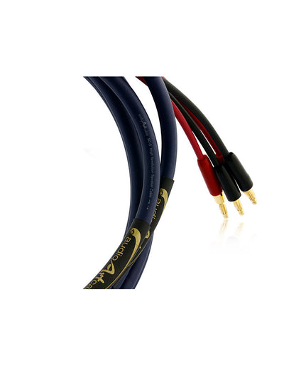 AAC SC-5 Classic Double Bi-wire Speaker Cable Pair Gold Banana