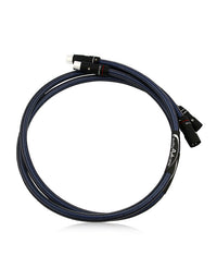 AAC Statement e IC Cryo Interconnect Cable Pair Silver XLR
